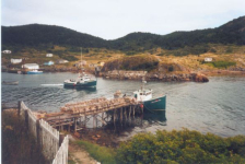 596: Red Island. Jim Mulrooney's 'Jennifer Elizabeth'. (2002) [courtesy of Heather Walsh]